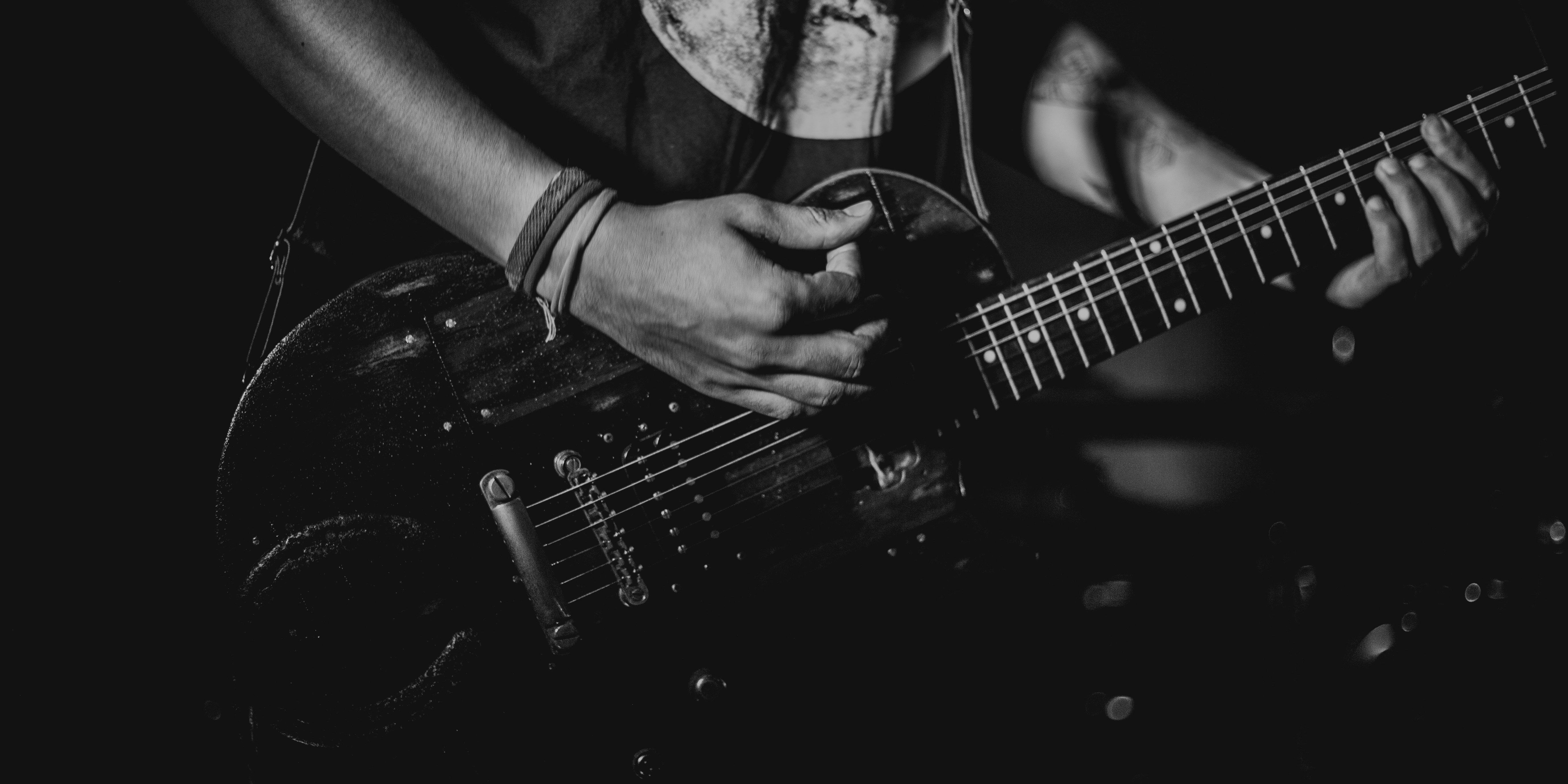 Lord of the Scrummy Toads